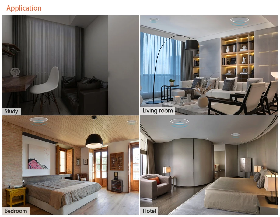 ceiling application