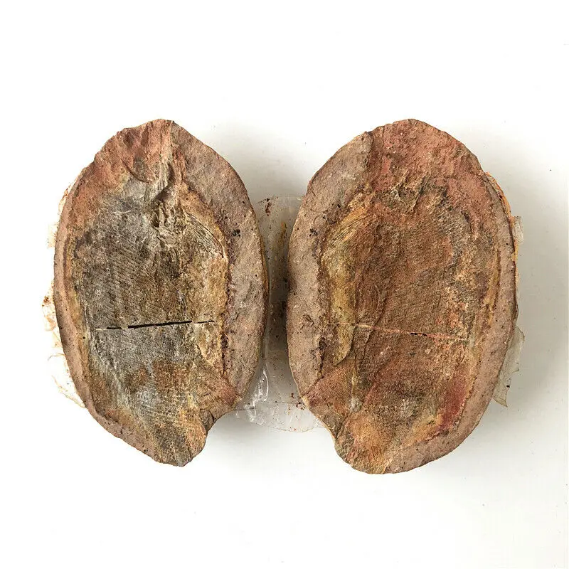 1 шт. хорошо сохраненные многовековые окаменелые остатки рыб коллекция