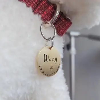 Personalized Tag Collar for Cat and Dog
