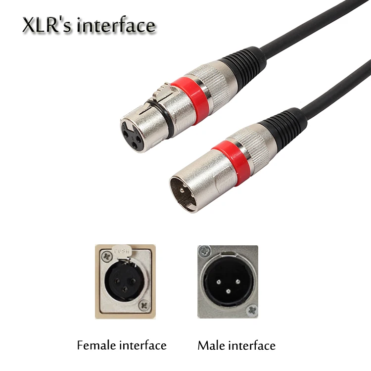 XLR1