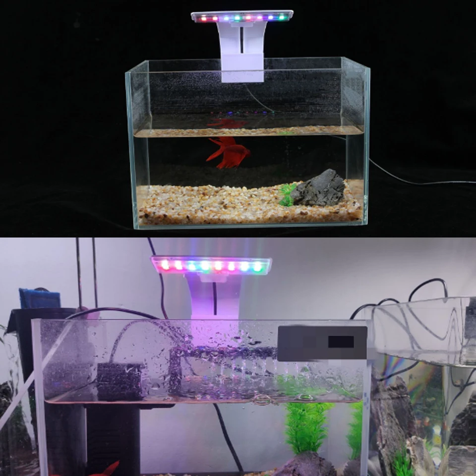New 5W Aquarium Led Lighting Blue White Waterproof Clip on LED Plants Grow for Freshwater Fisk Tanks|Светильники| |