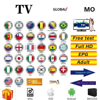 

TV subscription global Arabic Europe Russia Canada USA India Latin America Spain HD Android smart tv M3U