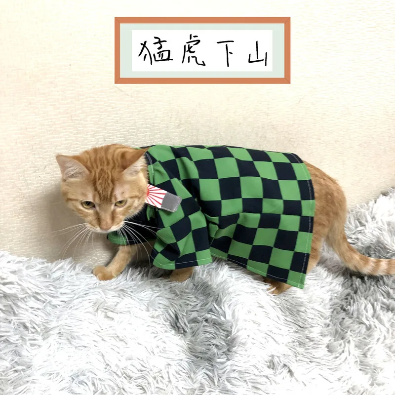 Демон убийца Kimetsu без Yaiba кошки камадо Tanjirou Косплэй накидка костюмы полные