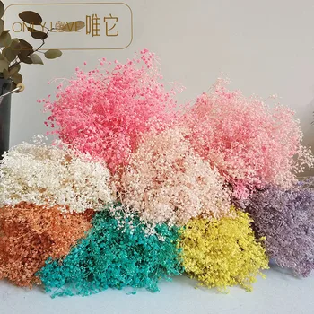 

Factory Wholesale Preserved Fresh Flower Fantasy Stars Starry Dried Flowers Nordic Bouquet Gift