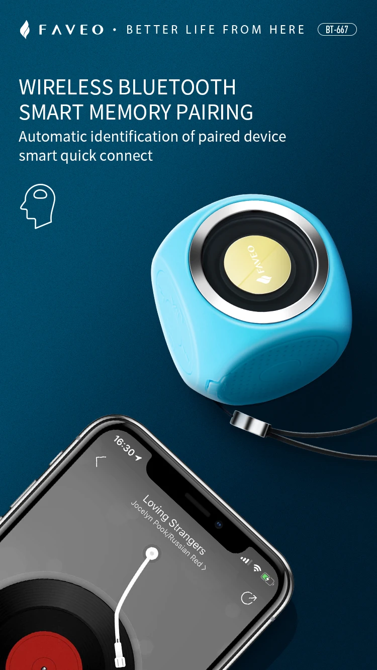 FAVEO водонепроницаемый bluetooth динамик Портативный беспроводной уличный динамик для занятий спортом перезаряжаемый сабвуфер со встроенным микрофоном