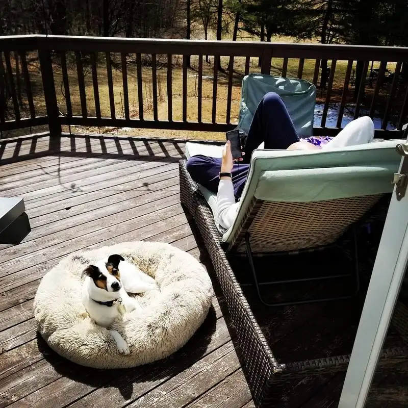 Soft-Plush-Round-Pet-Bed-Cat-Bed-Self-Warming-Autumn-Winter-Indoor-Snooze-Sleeping-Cozy-Kitty