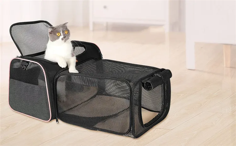 12967751268_1504596986