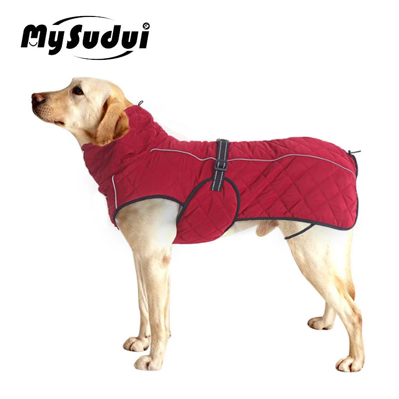 dog jackets online