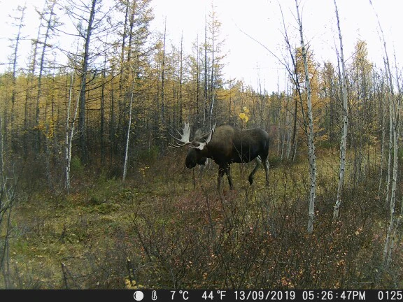 H75d887ea32ee4fbd84bc4bd2a564aa2dI