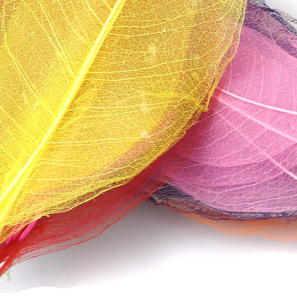50pcs Natural SKELETON LEAVES Colored SCRAPBOOK Craft Embellishment Bookmark