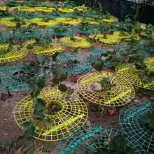 5 PCS Of Strawberry Plant Support Frame Home Gardening Accessories For Strawberry Gardening Supplies Strawberry Plastic Frame