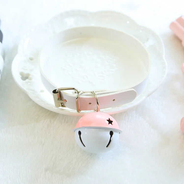 7887189173_955042420