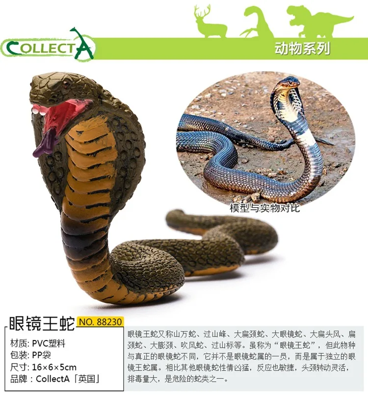 Collecta я ты он модель лес животное модель Фламинго статическая модель игрушка для мальчиков поколение жира