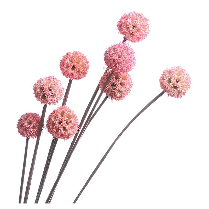 1pcs Mini Dried Flower Ball Wedding Decoration Decorative Plants Branch Home Decor Accessories Party Diy Floral Length 55cm Stem Artificial Dried Flowers Aliexpress