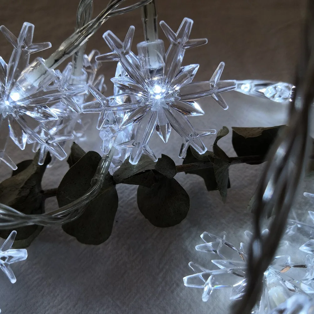 11895836881_1724248132