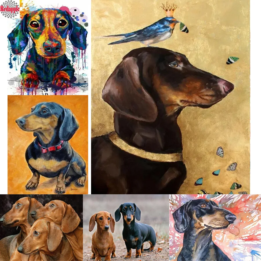 5d-diy-Diamond-Painting-Professor-Dachshund-Diamond-Embroidery-color-cute-pets-dog-full-drill-square-Rhinestones