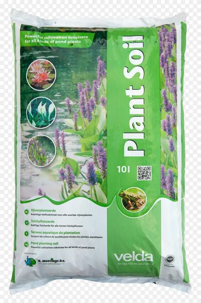 堆肥池水生植物盆栽土壤 水生植物png图片素材免费下载 图片编号 Png素材网