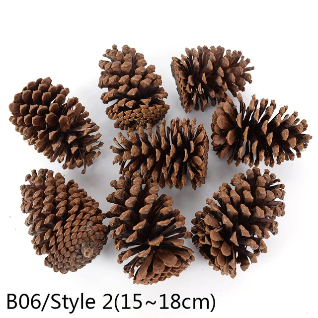 1-10pcs Natural Pine Nuts Fruit Dried Artificial Flower Pineapple Cones for Christmas DIY Garland Wreath Wedding Home Decoration B06-1pc