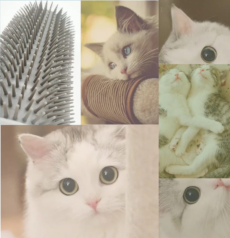 Pet Product For Cat Self Groomer Wall Brush Corner Cat Massage Self Groomer Comb Brush With