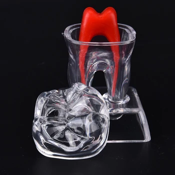 

2018 NEW Arrival Dental Crystal Base Hard Plastic Teeth Tooth Molar Model Fit for Smile 5.5cm*5cm*7cm