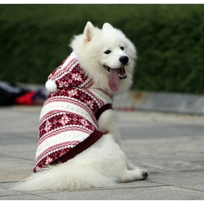 samoyed clothes