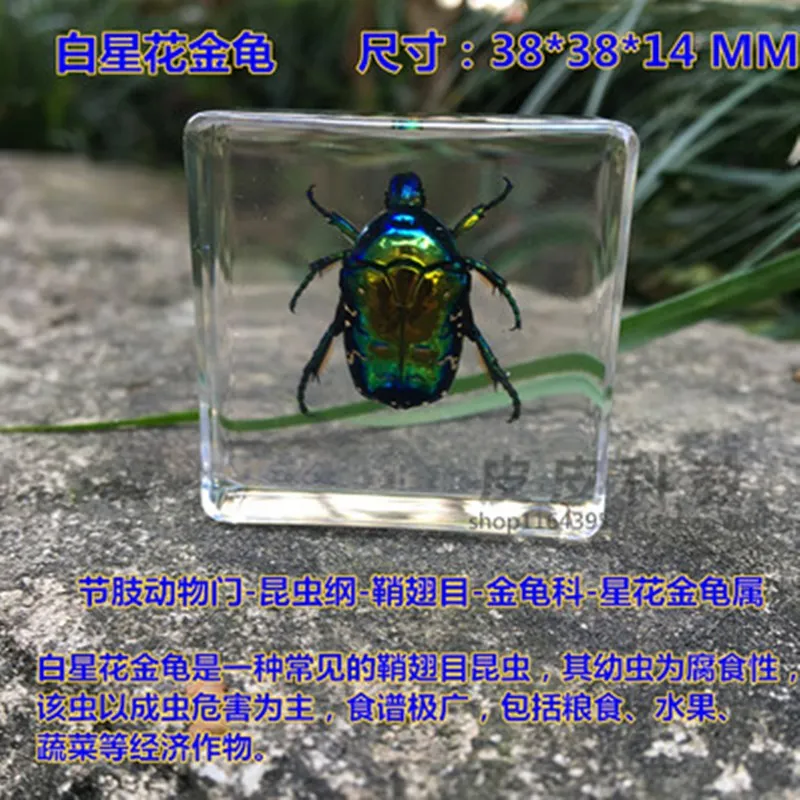 17(366XII%4R@$5C[(G8U{O_副本
