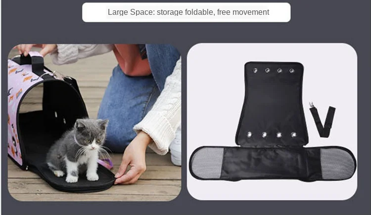 12416766560_1118210482