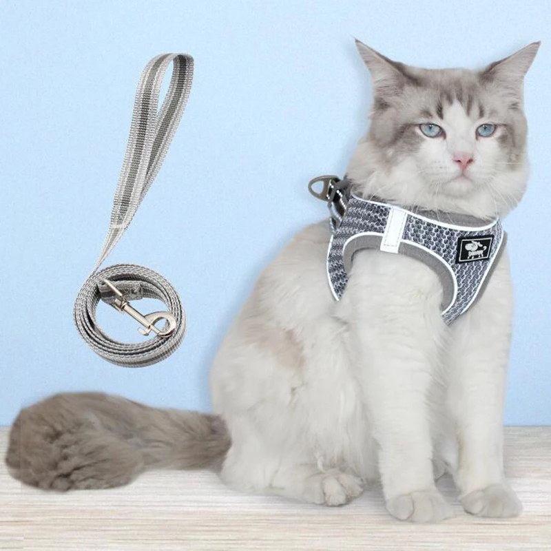 No pull cat harness Clearance