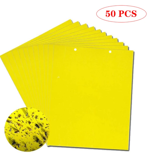 18 Pcs Yellow Sticky Fruit Fly Traps Gnat Trap for Indoor/Outdoor  Houseplant Sticky Bug with Holes Insect Catcher Protect The Plant :  : Patio, Lawn & Garden