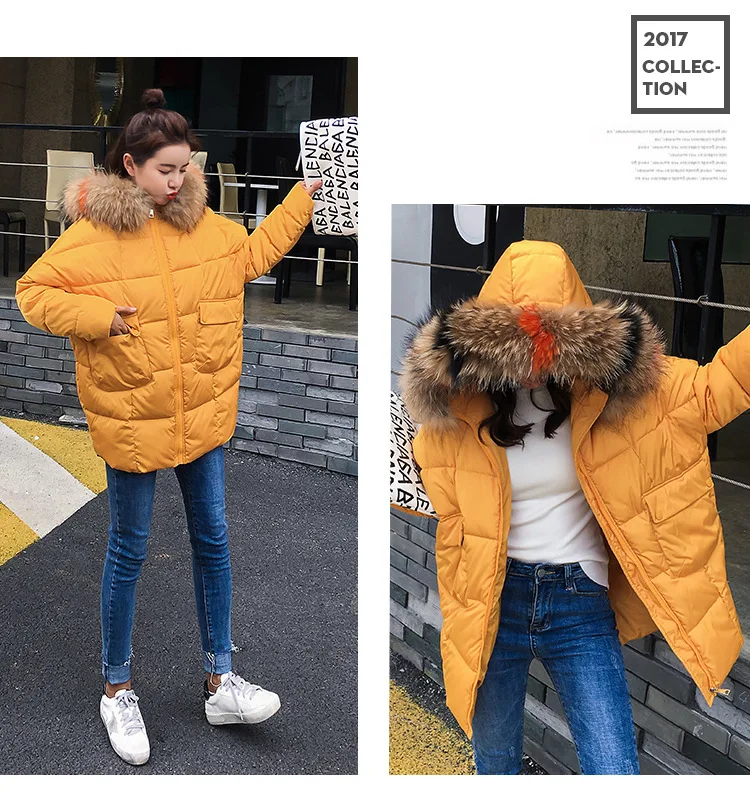 9019120930_1006637240