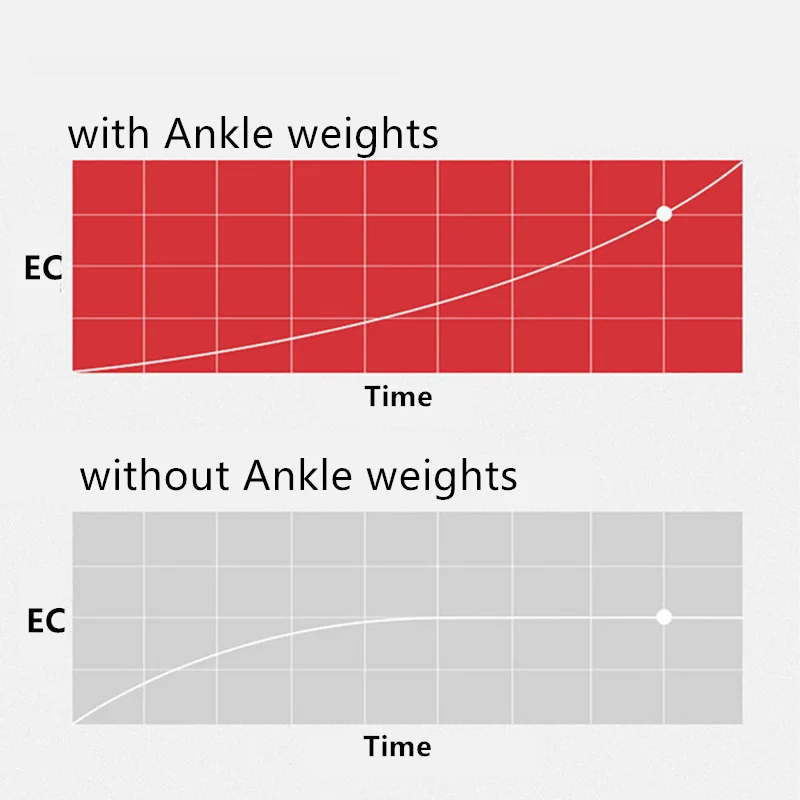 Ankle Support and Straps for Fitness