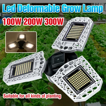 

100W 200W 300W LED Full Spectrum White Grow Light LED Plant Lamp E27 Flower Seed Hydroponic Light Bulb 220V Growing Lamp 110V