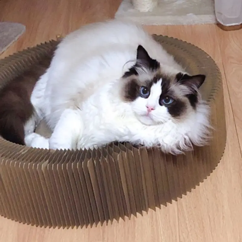 Гофрированный картон Кошка Скребок Lounge кровать Диван С Кошачьей Мятой для котенка