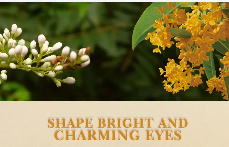 golden-osmanthus-eye-mask_07