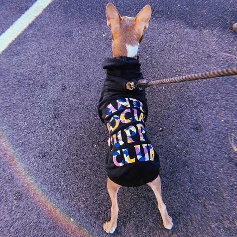 WO6BELT4QPZD4FMR2E%RV5F