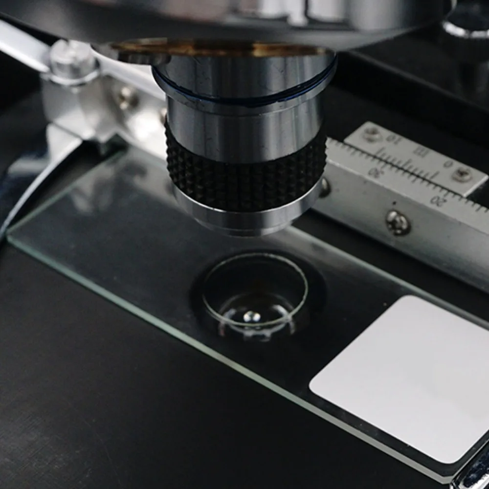 Лабораторный образец кусочек биологический образец слайда научно-экспериментальные Обучающие приборы для наблюдения оборудование лабораторные принадлежности