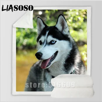

Sofa Couple Bedding Patterned Animal Husky Office Harajuku Child Stuffed Woolen Blanket bedspread Harajuku soft Travel Quilt