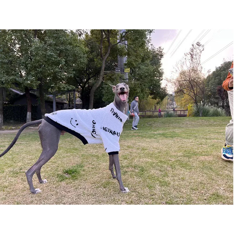 Итальянская одежда Greyhound для собак зимнее пальто из овечьей шерсти | Дом и сад