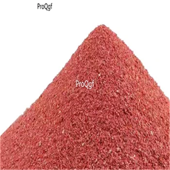

Ngryise 100pcs a set fairy shrimp