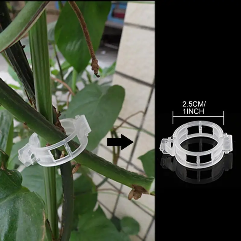 Promotion! 150 Pcs Plant Support Garden Clips,Tomato Vine Clips,Tomato Trellis Clips for Vine Vegetables Tomato to Grow Upright