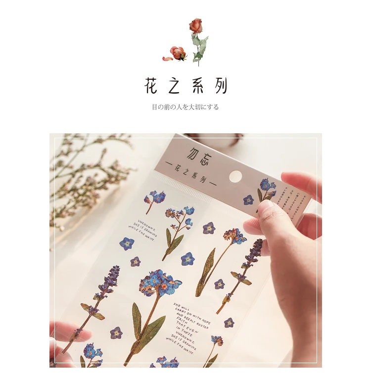 花之系列_02
