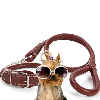 

Fashion Small Puppy Pet Dog Collars Set Adjustable Buckle Leash Large Dogs Collar Chihuahua Walking Lead Leash Pet Accessory