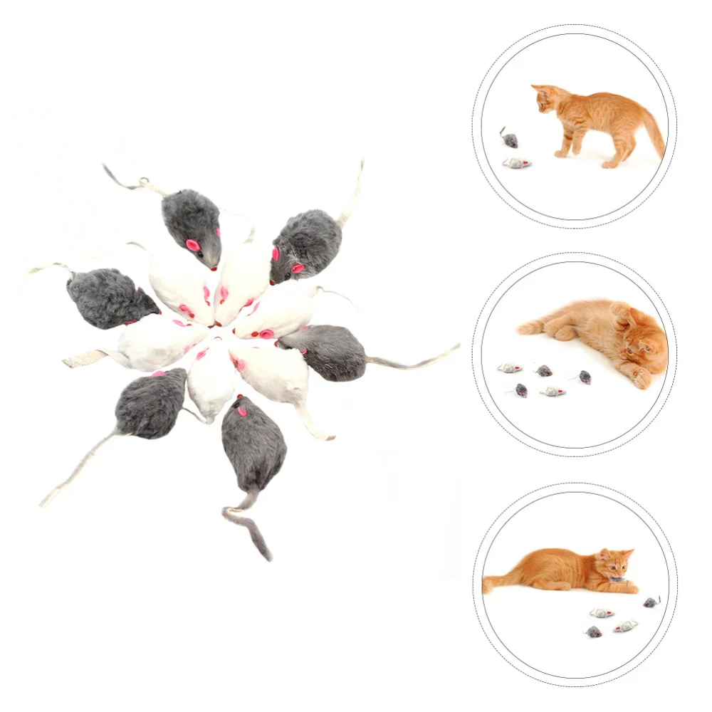 12pcs Simulation Cat Teasing Adorable Interactive Chew | Дом и сад
