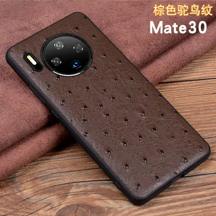 Модные крокодиловые аксессуары для телефонов, чехол для huawei mate 30, тонкая задняя защитная оболочка для huawei mate 30 Pro 30Pro - Цвет: 5