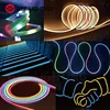 WS2812B LED Neon Rope Tube IP67 Soft Silica Gel 5 meters WS2811 Flexible Strip Light Lamp Tube Waterproof for Home Decoration ► Photo 3/6