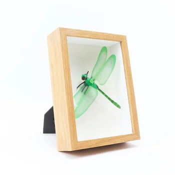 3D Hollow Photo Frame Specimen Wood Frame Butterfly Dragonfly Dry Flower Frame Home Decoration Gift 1