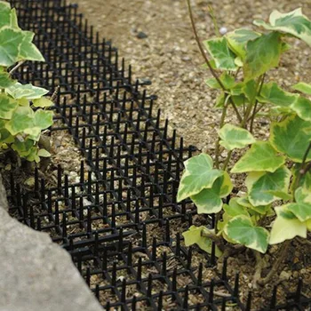 

Pets Deterrent Outdoor Mat Anti-cat Thorns Pad Dog Nails Repellent Mat for Garden Yard QJS Shop