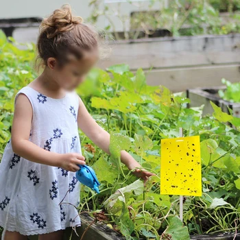 

10PCS Sticky Fly Trap Paper Yellow Traps Fruit Flies Insect Glue Catcher Fly Trap Board Pest Control Kitchen Farm Plant Garden