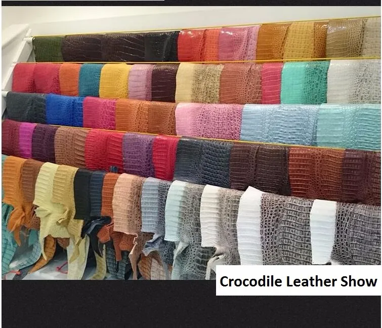 HTB1qWDyXqmgSKJjSsphq6Ay1VXaf