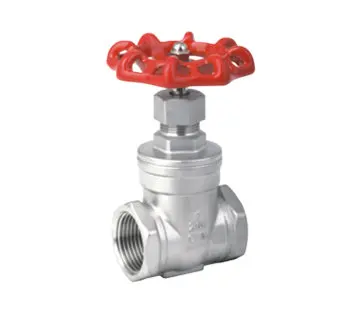 

1/2" 3/4" 1" 2" Female Thread Stainless Steel SS304 Gate Valve DN15 DN20 DN25 DN32 DN40 DN50 Straight through Gate Valve 1.6Mpa